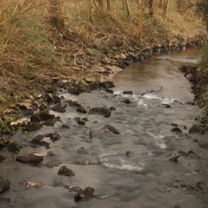 Hammbach...... Sabine Schröder